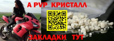 шишки Ставрополь