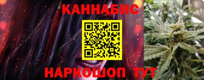 шишки Ставрополь